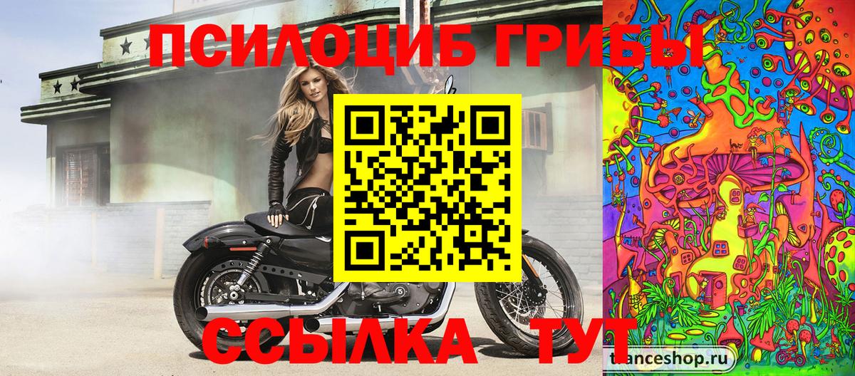 Псилоцибиновые грибы мухоморы Дивногорск